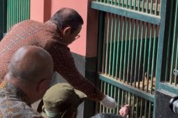 Pramono tegaskan pakan harimau Ragunan aman dan tak dibawa pulang