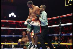 David Benavidez pertahankan gelar juara dunia usai atasi Anthony Yarde