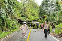 Akses Solok-Solok Selatan kembali lumpuh akibat longsor dan pohon tumbang