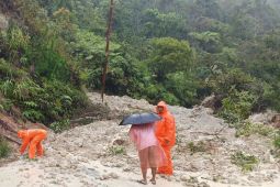 Akses jalan Padangsidimpuan–Medan lumpuh total imbas longsor beruntun di Sipirok