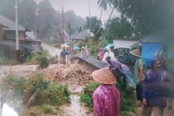 Banjir rendam jalan nasional Padang-Pasaman Barat, sebabkan akses lumpuh
