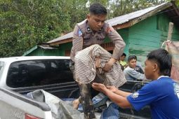 Bencana Sumut: Tim temukan 8 jenazah lagi, 28 warga masih hilang