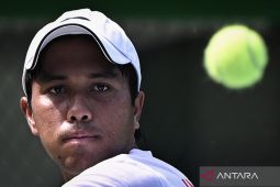 Main di Kandang, Rifqi Fitriadi Antar Indonesia Unggul 1-0 di Playoff Piala Davis