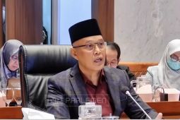 DPR Dorong Prabowo Perkuat Upaya Perlindungan Warga Palestina di Forum BoP