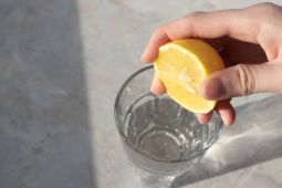Segarnya air lemon dan khasiatnya untuk tubuh, pencernaan, dan kulit
