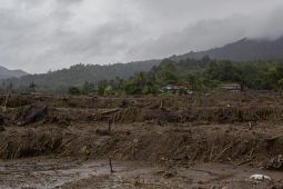 1.341 hektare sawah di Sumbar gagal panen akibat bencana