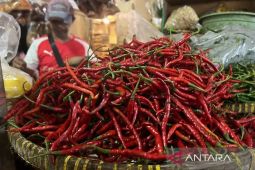 Update harga bahan pangan hari ini: Cabe Rp80.700/kg, telur Rp32.650/kg