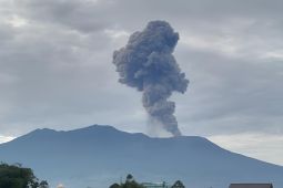Gunung Marapi erupsi sore hari, warga diimbau waspada lahar hujan