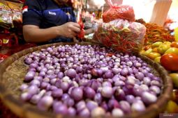 Harga pangan terpantau turun, cabai rawit Rp69.963 per kg, bawang merah Rp46.240 per kg