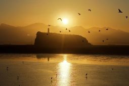 Danau terbesar di China surut hingga 90 persen