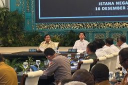 Presiden Prabowo percepat pembangunan Papua, ketahanan pangan prioritas