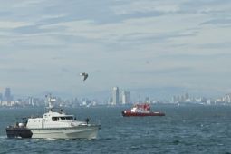 Dua bibit siklon di selatan Jatim dan Papua bisa picu gelombang tinggi