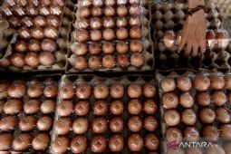 Rabu ini harga cabe rawit Rp79.400/kg, telur Rp32.850/kg