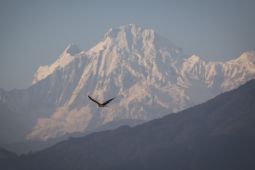 Nepal siapkan batasan jumlah pendaki untuk atasi masalah sampah di pegunungan