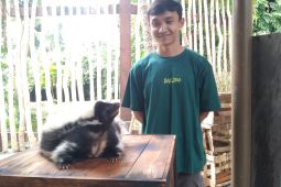 Bali Zoo buka wahana baru buat sambut liburan tahun baru