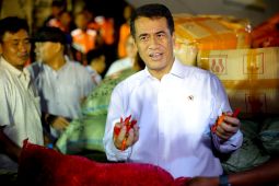 Mentan beli 40 ton cabai petani Aceh, dikirim pakai pesawat Hercules ke Jakarta