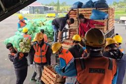 TNI AU bantu petani Aceh angkut 14 ton cabai lewat pesawat Hercules