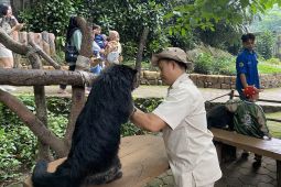 Pemkot Bandung sebut satwa Bandung Zoo bisa dititipkan ke pihak berizin