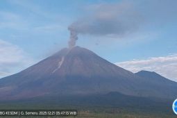 Aktivitas gunung Semeru meningkat, enam kali rrupsi terjadi sejak dini hari