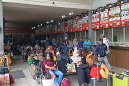 Harga tiket bus saat Nataru di Terminal Kalideres tetap stabil