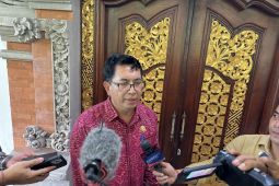 Kunjungan wisatawan mancanegara ke Bali meningkat saat Nataru