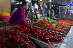 Harga bahan pangan hari ini: Cabe rawit Rp73.850/kg, telur Rp33.000/kg