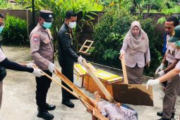 42 kilogram daging anjing tanpa dokumen dimusnahkan di Maluku