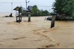 Banjir kembali rendam Pidie Jaya akibat hujan intensitas tinggi