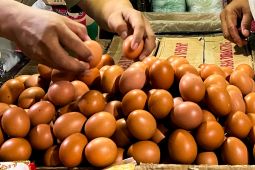 Harga Pangan Hari Ini: Cabe Rawit Rp67.500/kg, telur Rp33.900/kg