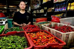Update Harga Pangan: Cabai Rawit Merah Rp69.750 dan Telur Ayam Rp33.000 per Kg