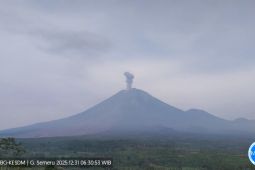 Gunung Semeru Erupsi 3 Kali pada Rabu pagi, Letusan Tertinggi Capai 900 Meter