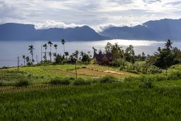 BMKG Ingatkan Risiko Gelombang Tsunami di Danau Maninjau akibat Aktivitas Patahan