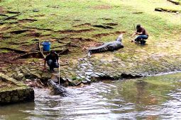 Libur Tahun Baru, Ragunan Diperkirakan Diserbu Seratus Ribu Pengunjung pada 1 Januari
