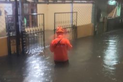 Banjir Rendam Sejumlah Titik di Jakarta Barat, Air Capai Bumper Mobil