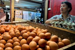 Harga Bahan Pangan Hari Ini: Cabe Rawit Rp67.300/kg, Telur Rp32.750/kg