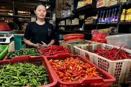 Update Harga Pangan: Cabai Rawit Merah Turun, Beras Ikut Terkoreksi