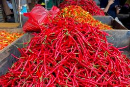 PIHPS Catat Harga Cabai Rawit dan Telur Naik di Awal Januari