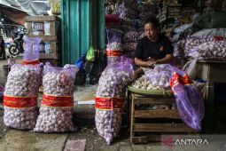 Harga Cabai Merah Rp32.815 dan Bawang Putih Rp37.896 per Kg Selasa Ini