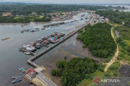 KLH Tetapkan Peta Mangrove Nasional 2025 Seluas 3,45 Juta Hektare