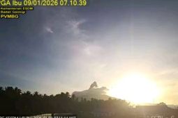 Gunung Ibu di Halmahera Kembali Erupsi, Abu Vulkanik Capai 400 Meter