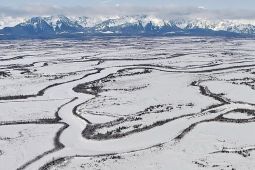 AS Sebut Denmark Duduki Greenland dengan Abaikan protokol PBB