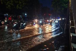 Banjir Daan Mogot Bikin Macet Parah, Kendaraan Ngantri hingga 4 Km