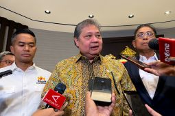 Airlangga Sebut Lahan Food Estate Papua Lebih Unggul dari Australia