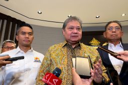 Airlangga: Indonesia Jadi Salah Satu Negara Buka Pasar Global Terbesar