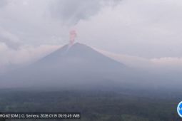 Hari Ini Semeru Sudah Enam Kali Erupsi, Tinggi Letusan hingga 1 Km