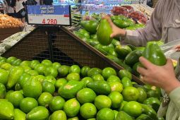 Makan Alpukat Ternyata Bisa Bantu Sehatkan jantung