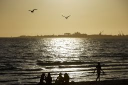 Gelombang Panas Ekstrem di Australia Bisa Picu Kebakaran Hutan