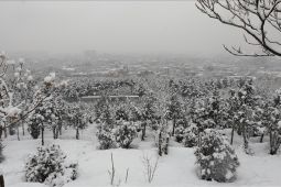 Cuaca Ekstrem Afghanistan: Hujan dan Salju Lebat Tewaskan 61 Orang