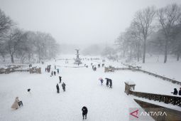 Lebih dari 1200 Penerbangan AS Dibatalkan Akibat Badai Salju