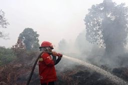 Kebakaran Lahan di Aceh Barat Capai 19 Hektar